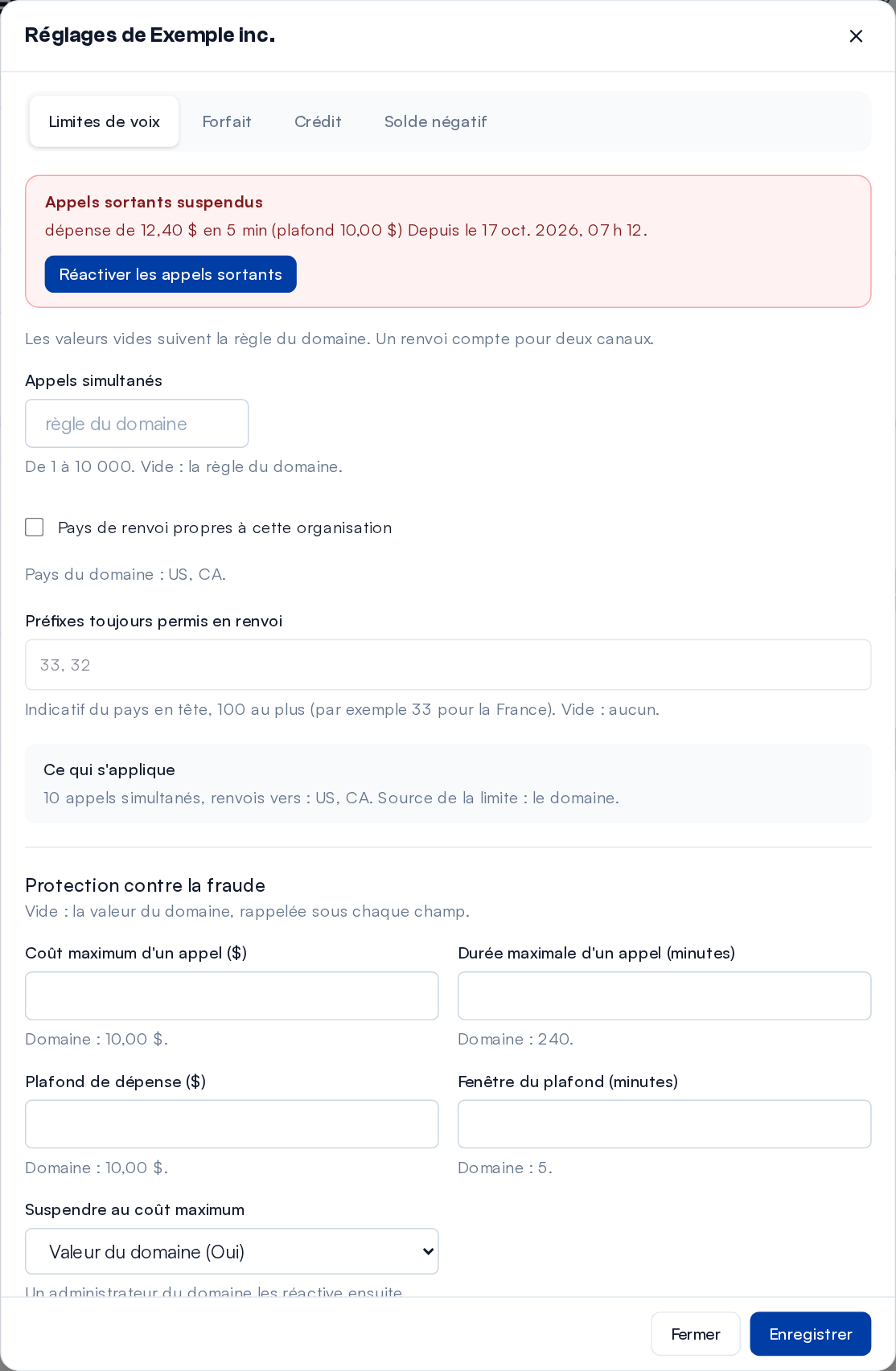 « Limites voix, forfait, crédit et grâce » d'une organisation suspendue : la raison de la suspension, « Réactiver les appels sortants », ses limites propres et sa protection contre la fraude.